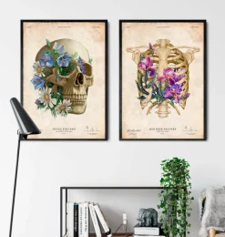 Anatomie du crâne - Floral - Vieux papier