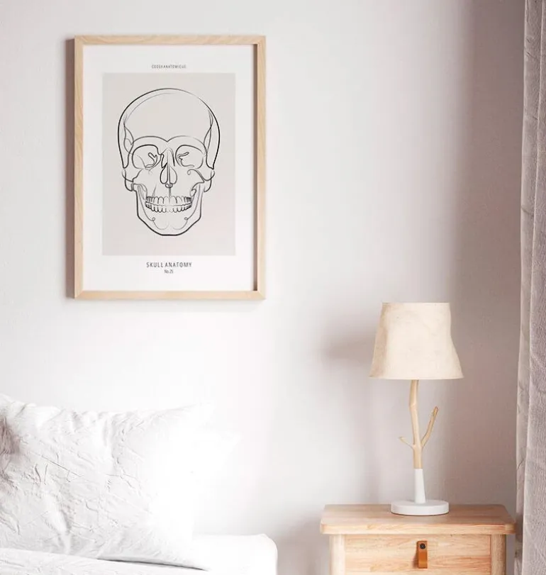 Anatomie du crâne - Line Art