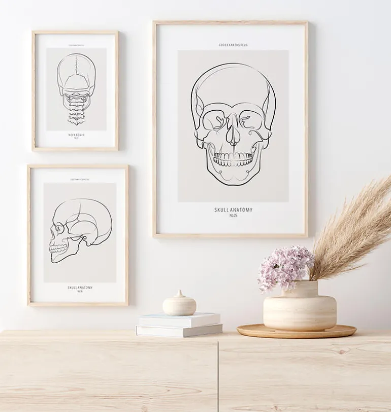Anatomie du crâne - Line Art