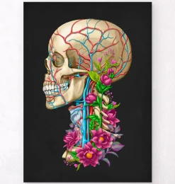 Anatomie du crâne II - Floral - Noir