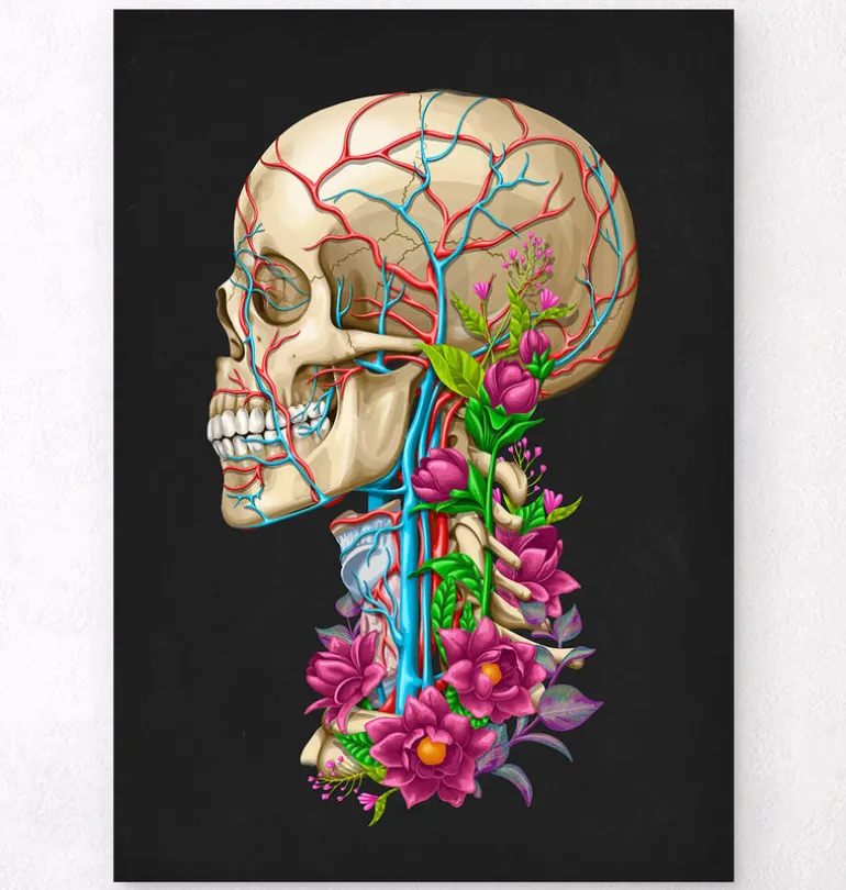 Anatomie du crâne II - Floral - Noir