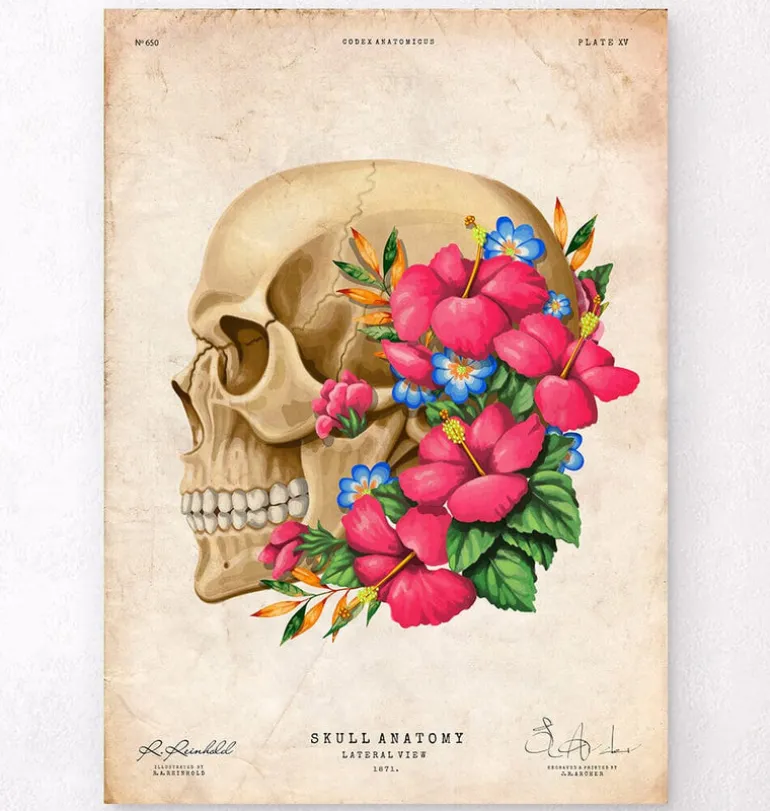 Anatomie du crâne III - Floral - Vintage