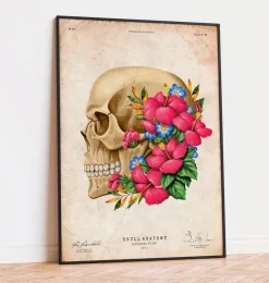 Anatomie du crâne III - Floral - Vintage