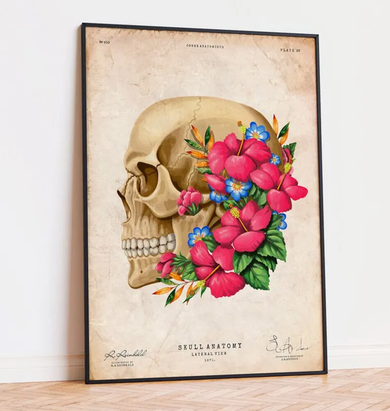 Anatomie du crâne III - Floral - Vintage