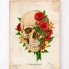 Anatomie du crâne IV - Floral - Vintage