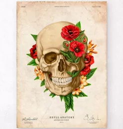 Anatomie du crâne IV - Floral - Vintage