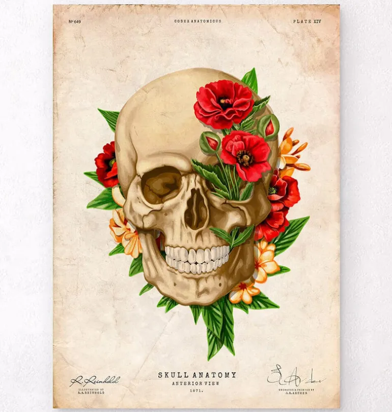 Anatomie du crâne IV - Floral - Vintage