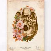 Anatomie du crâne V - Floral - Vintage