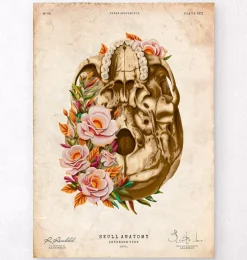 Anatomie du crâne V - Floral - Vintage