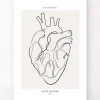 Anatomie du cœur - Line Art