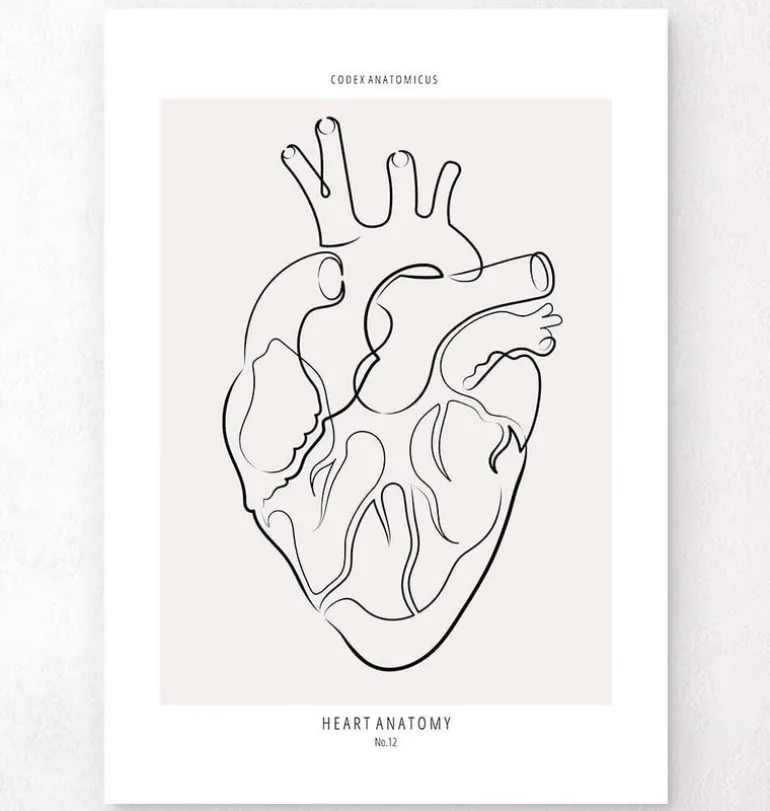 Anatomie du cœur - Line Art