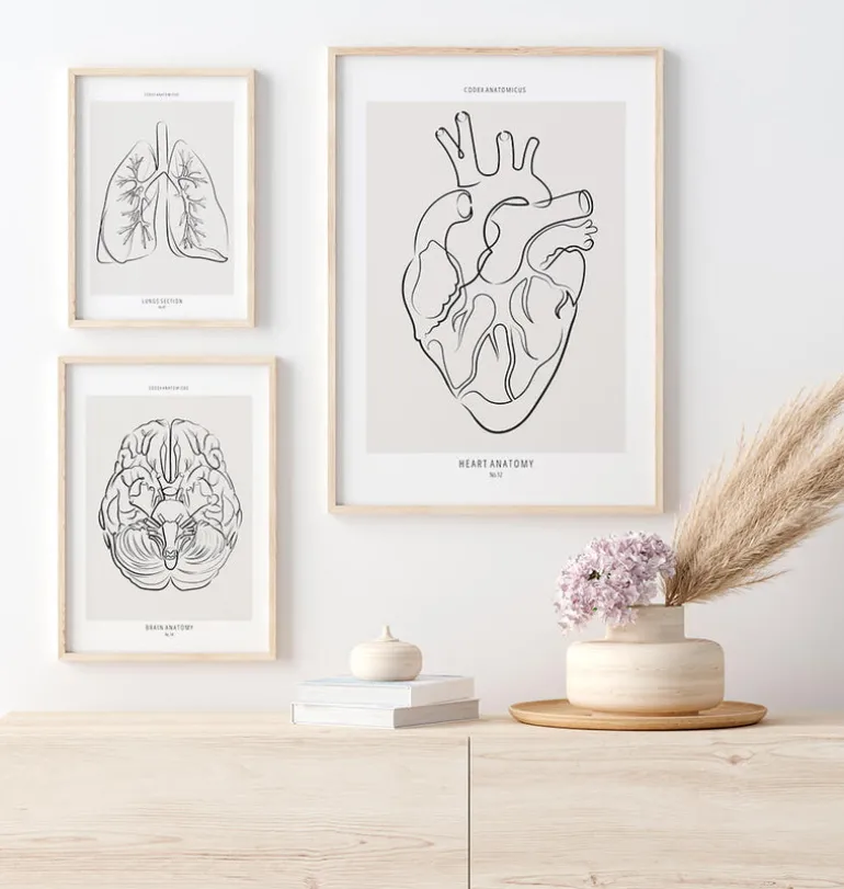 Anatomie du cœur - Line Art