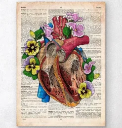 Anatomie du cœur floral II - Dictionnaire