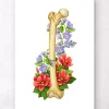 Anatomie du fémur - Floral - Blanc
