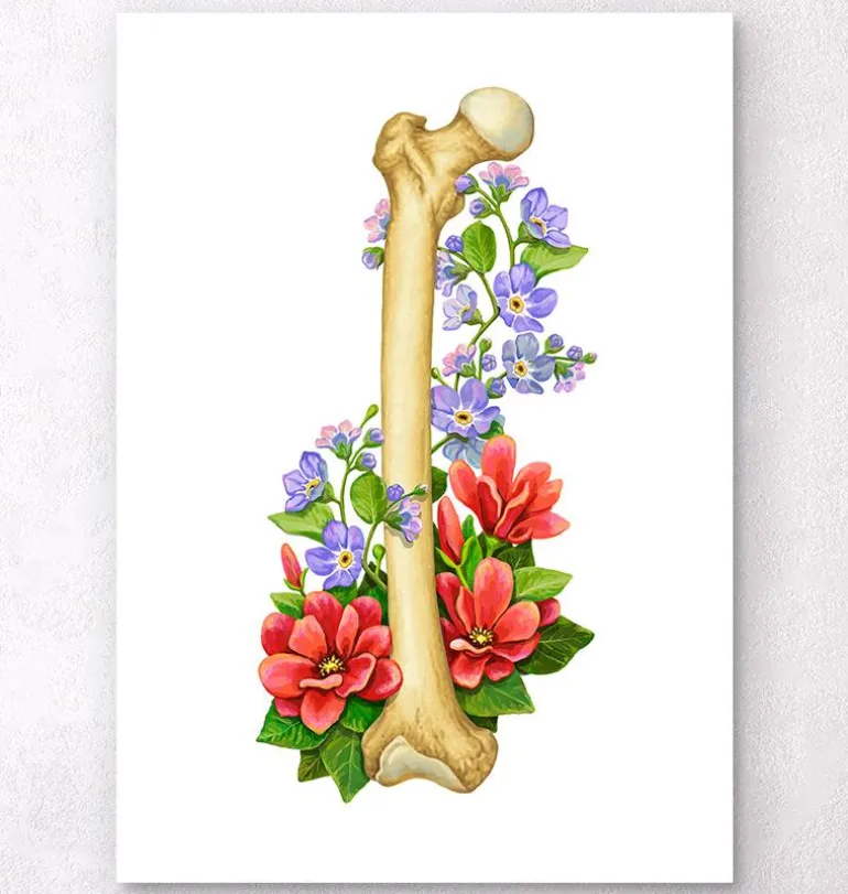 Anatomie du fémur - Floral - Blanc