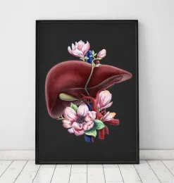Anatomie du foie - Floral - Noir
