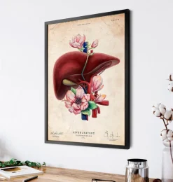 Anatomie du foie - Floral - Vieux papiers