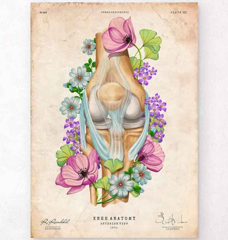 Anatomie du genou - Floral - Vintage