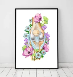 Anatomie du genou - Floral - Blanc