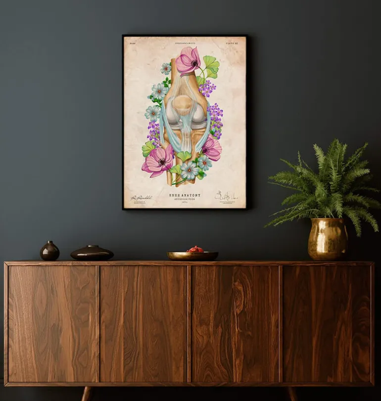 Anatomie du genou - Floral - Vintage