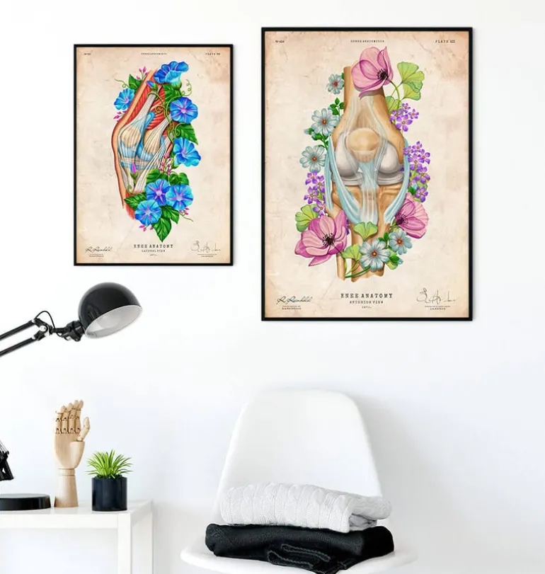 Anatomie du genou - Floral - Vintage