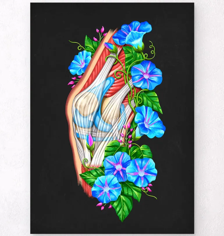 Anatomie du genou II - Floral - Noir