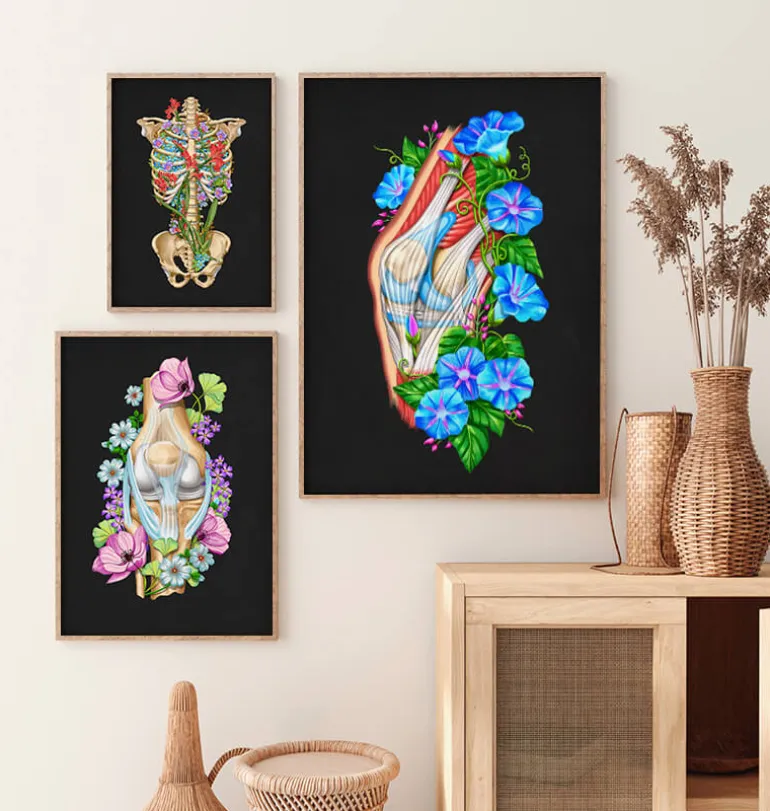 Anatomie du genou II - Floral - Noir