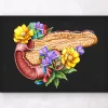 Anatomie du pancréas - Floral - Noir