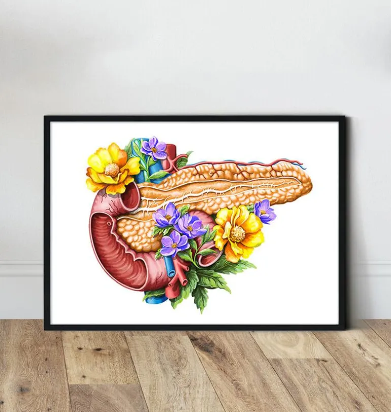 Anatomie du pancréas - Floral - Blanc