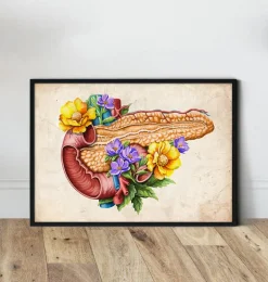Anatomie du pancréas - Floral - Vieux papier
