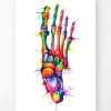 Anatomie du pied - Aquarelle
