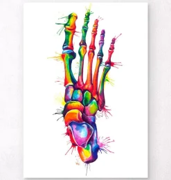 Anatomie du pied - Aquarelle