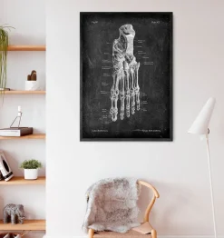 Anatomie du pied - Chalkboard