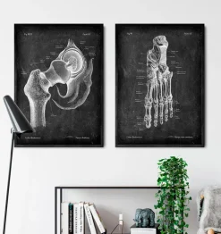 Anatomie du pied - Chalkboard