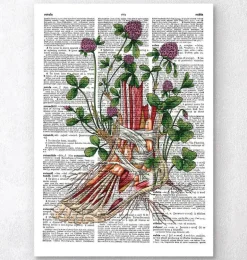 Anatomie du pied floral - Dictionnaire