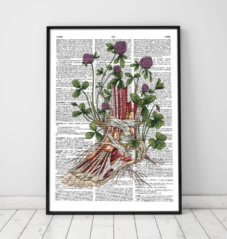 Anatomie du pied floral - Dictionnaire
