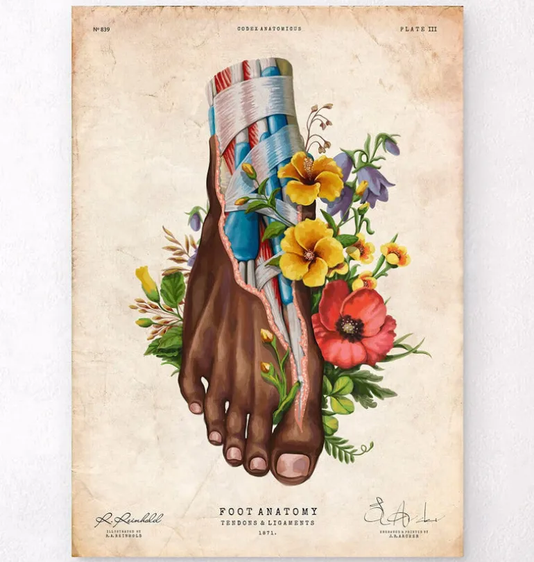 Anatomie du pied II - Floral - Vintage