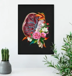 Anatomie du placenta - Floral - Noir