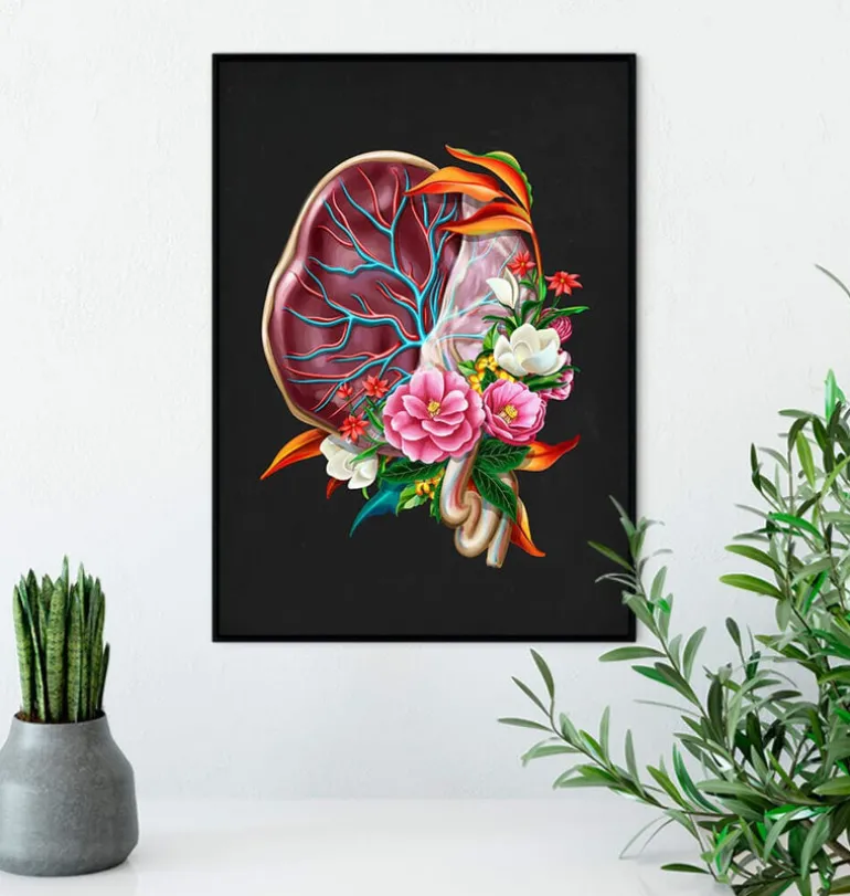 Anatomie du placenta - Floral - Noir