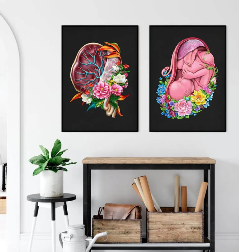 Anatomie du placenta - Floral - Noir