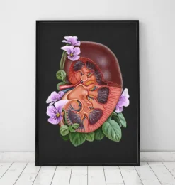Anatomie du rein - Floral - Noir