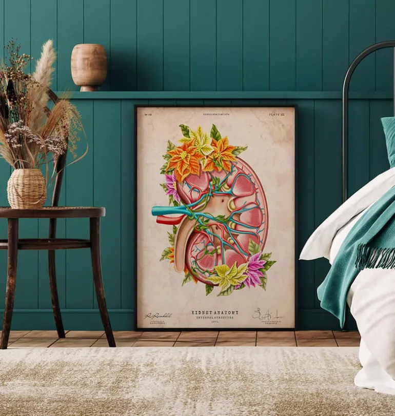 Anatomie du rein II - Floral - Vintage