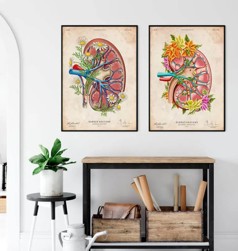 Anatomie du rein II - Floral - Vintage