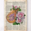 Anatomie du sein - Ancien dictionnaire