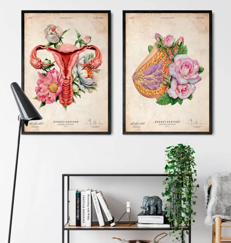 Anatomie du sein - Floral - Vieux papier