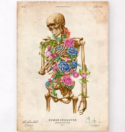 Anatomie du squelette II - Floral - Vintage