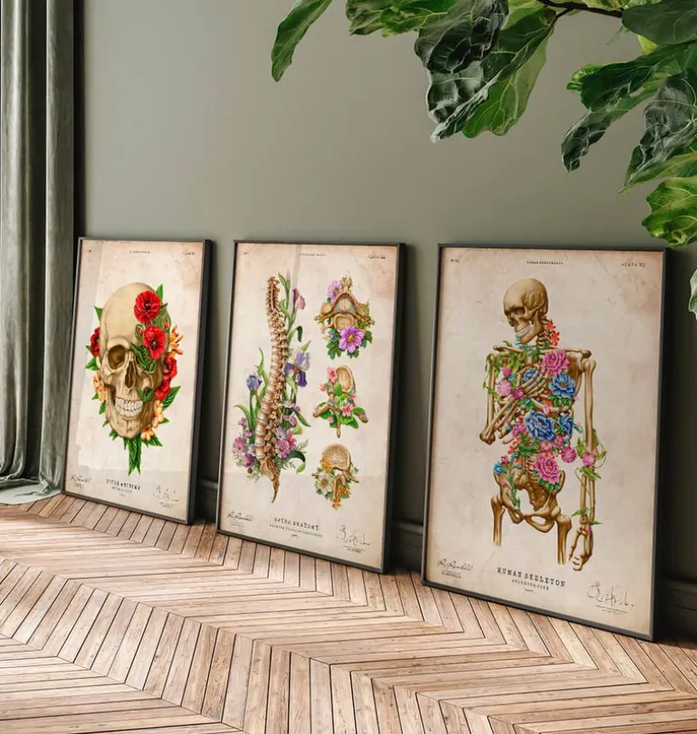 Anatomie du squelette II - Floral - Vintage