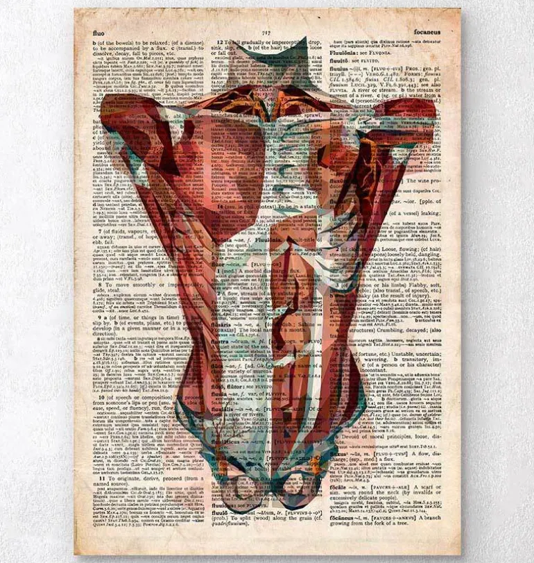 Anatomie du torse humain - Dictionnaire