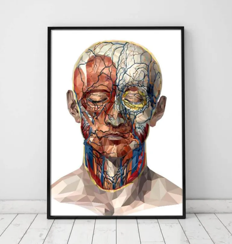 Anatomie du visage géométrique II