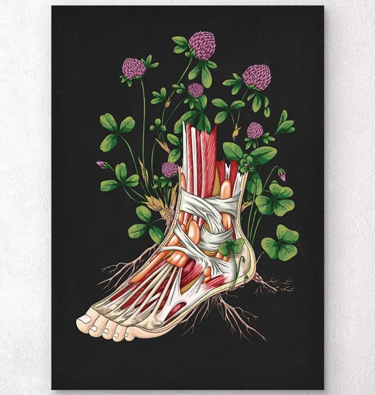 Anatomie florale du pied - Noir